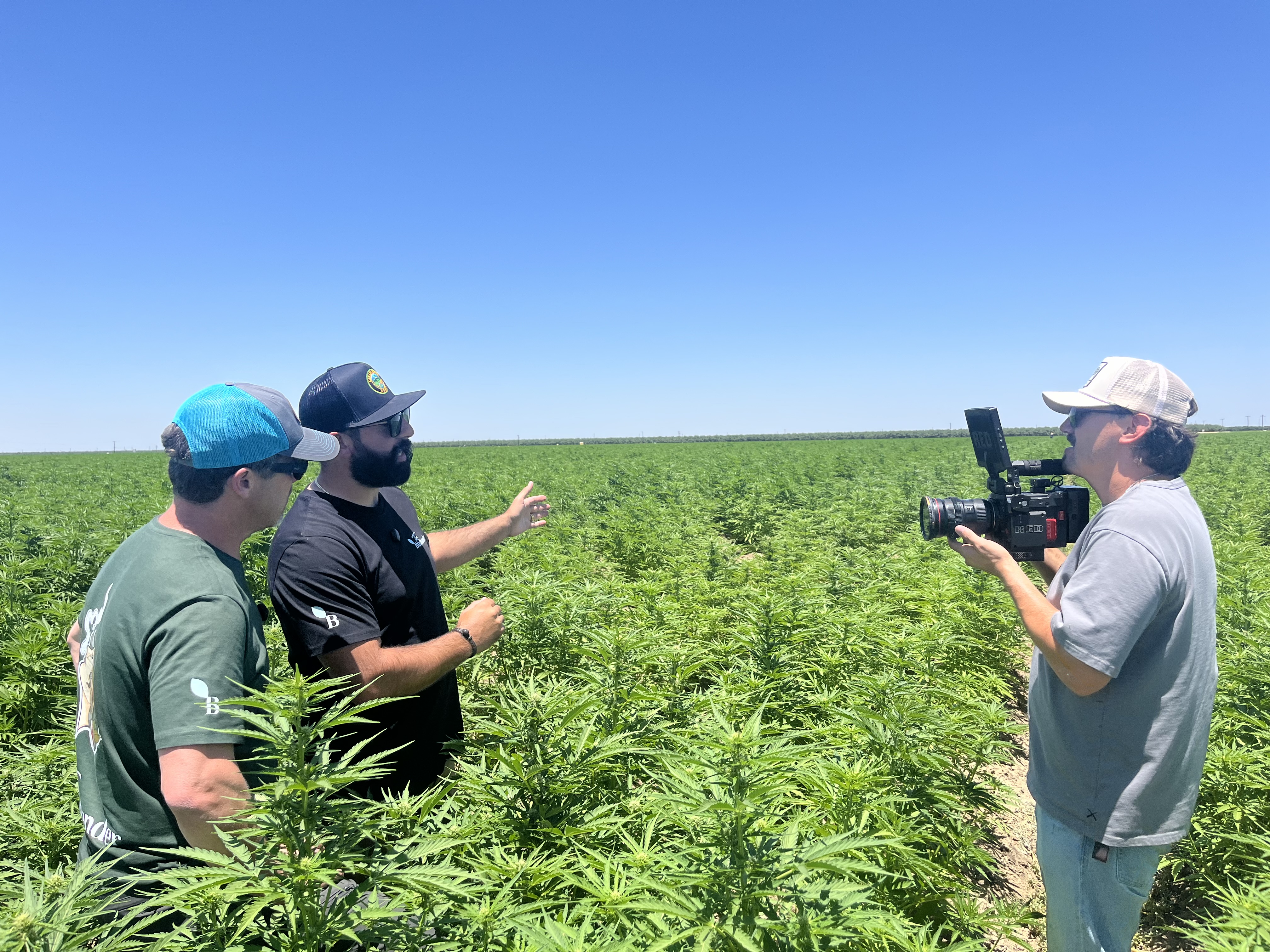 Three crew members in a field, one filming with a cinema camera