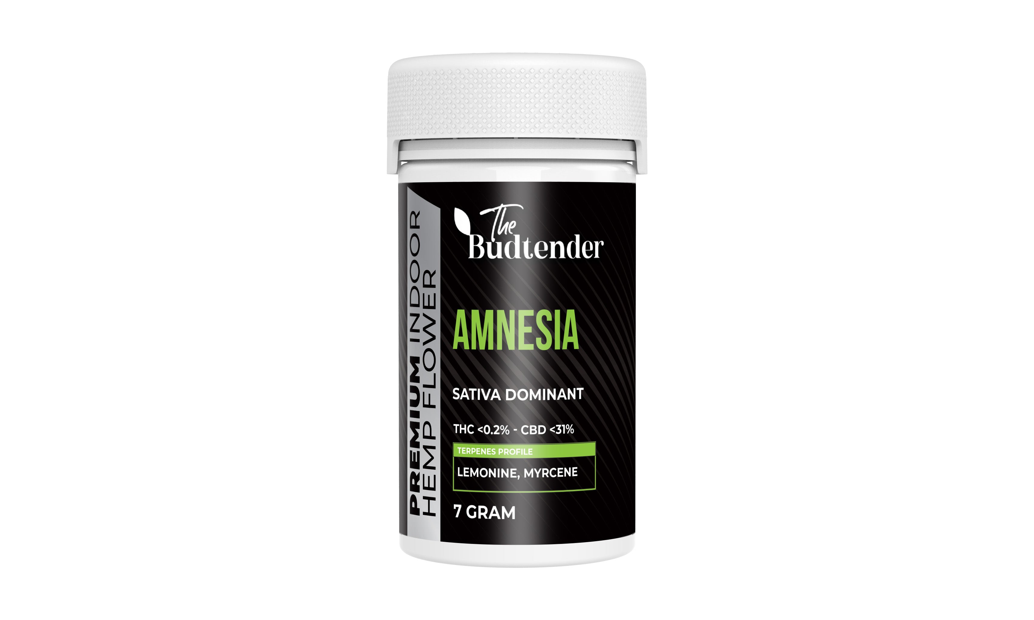 Amnesia┃Premium Indoor