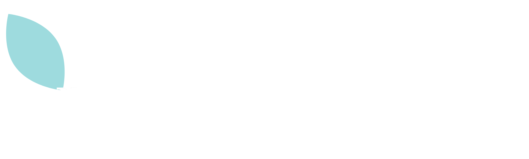 the budtender hhc vape Budtender Premium Hemp Products | Hemp Dispensary main image 1