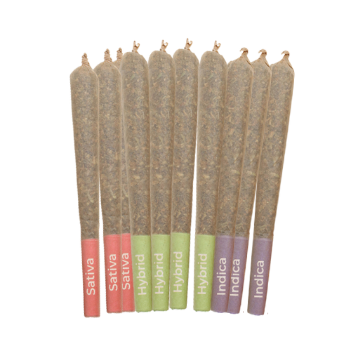 Ganjiers Choice | 1.2G Each