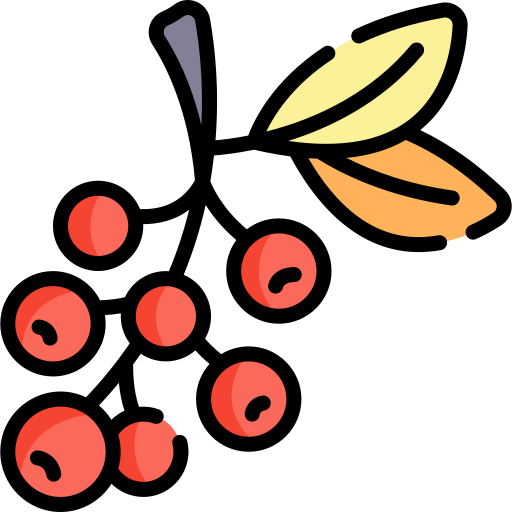 Gas Berry icon